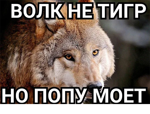 🤘 Стикер «Сильный не тот, кто сильный» для Telegram