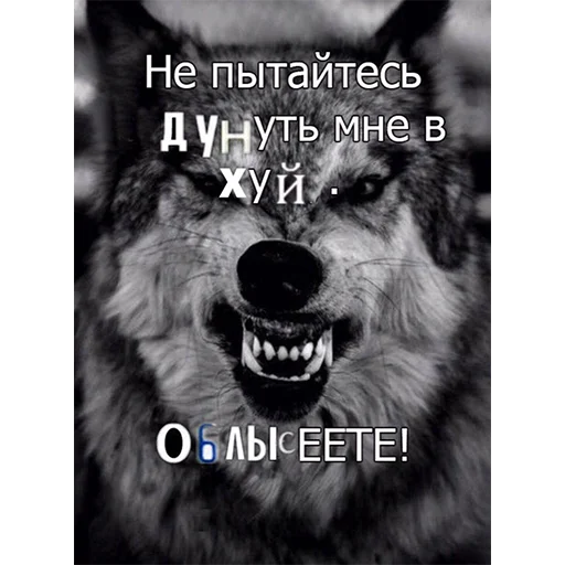 👍 Стикер «Сильный не тот, кто сильный» для Telegram