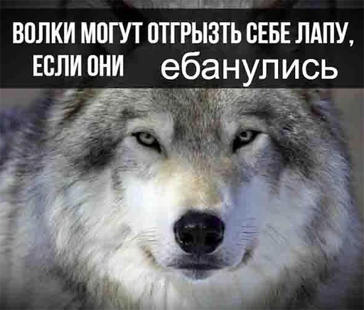 👉 Стикер «Сильный не тот, кто сильный» для Telegram