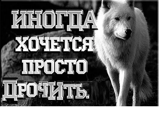 💪 Стикер «Сильный не тот, кто сильный» для Telegram