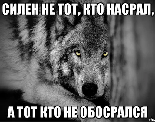 💩 Стикер «Сильный не тот, кто сильный» для Telegram