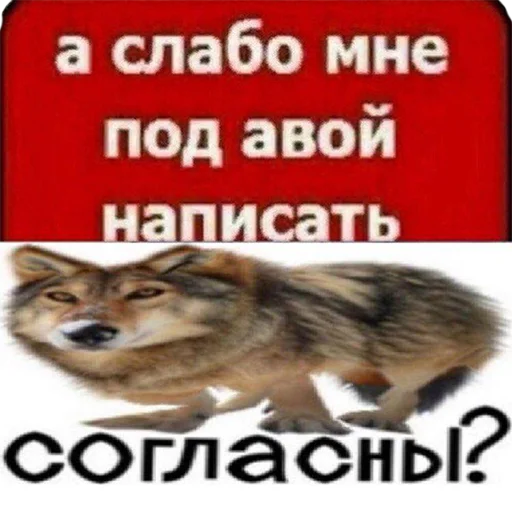 🤙 Стикер «Сильный не тот, кто сильный» для Telegram