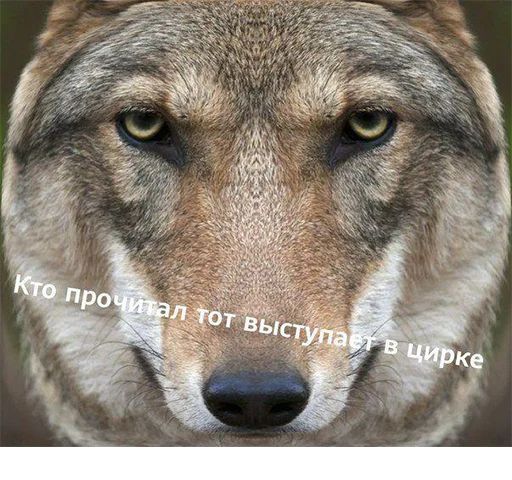 🖐 Стикер «Сильный не тот, кто сильный» для Telegram