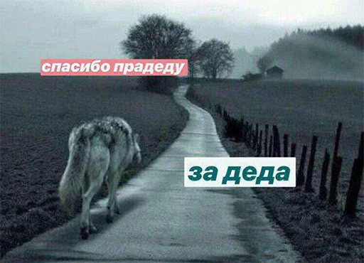 😉 Стикер «Сильный не тот, кто сильный» для Telegram