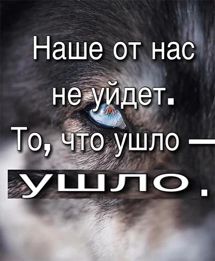 👁 Стикер «Сильный не тот, кто сильный» для Telegram