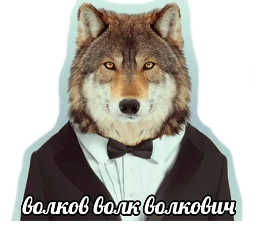 🐺 Стикер «Сильный не тот, кто сильный» для Telegram