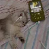 Стикер 10 Юра Каплан / Валентин Стрыкало