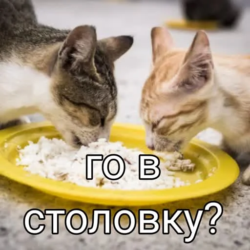 🤤 Стикер «учеба» для Telegram