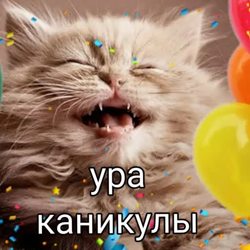 🎉 Стикер «учеба» для Telegram