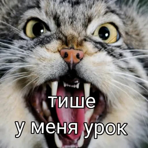 🤬 Стикер «учеба» для Telegram