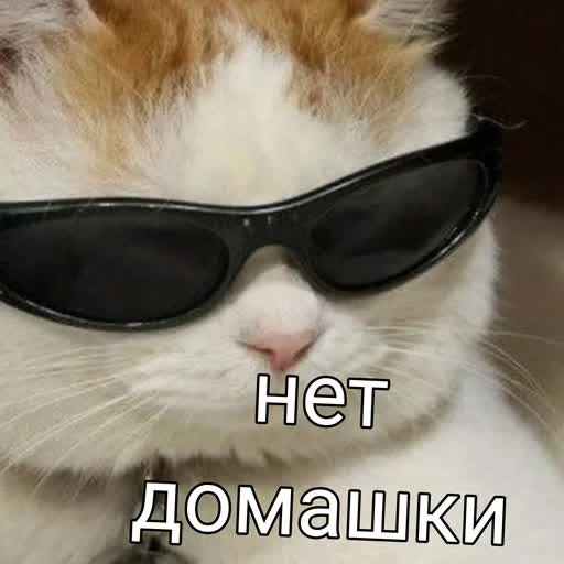 🤘 Стикер «учеба» для Telegram