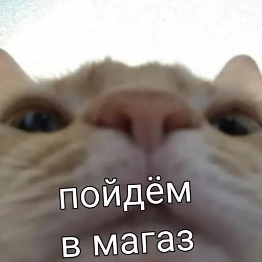 🙂 Стикер «учеба» для Telegram