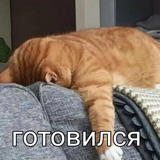 🫡 Стикер «учеба» для Telegram
