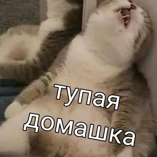 😓 Стикер «учеба» для Telegram