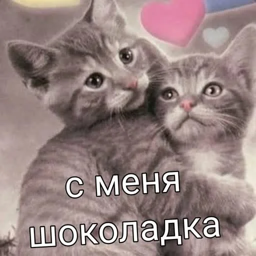 🥰 Стикер «учеба» для Telegram