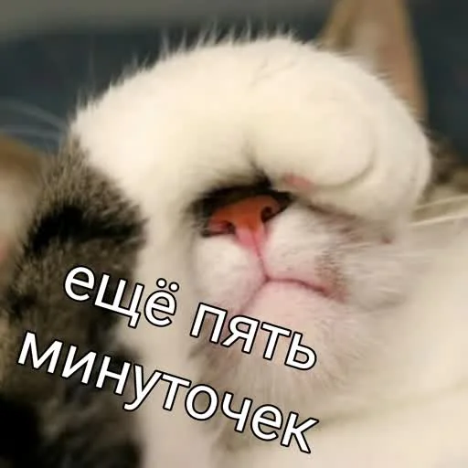 😴 Стикер «учеба» для Telegram