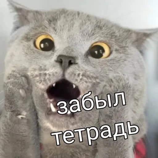 🫨 Стикер «учеба» для Telegram