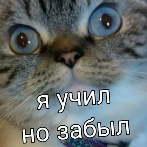😵‍💫 Стикер «учеба» для Telegram