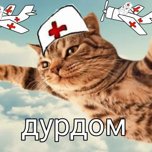 Стикерпак учеба для Telegram