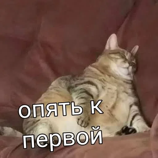 🫠 Стикер «учеба» для Telegram