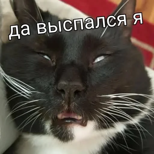 😪 Стикер «учеба» для Telegram