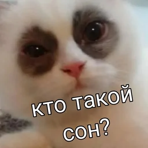 🥱 Стикер «учеба» для Telegram