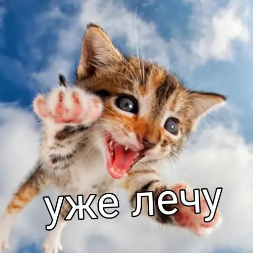 👣 Стикер «учеба» для Telegram