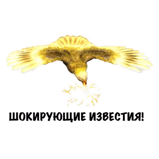 😧 Стикер «Heroes of Memes and Puns» для Telegram