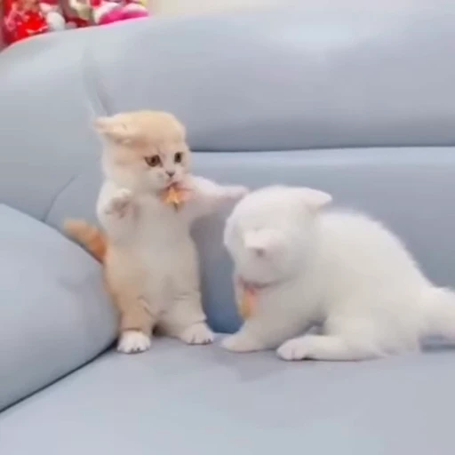 😮 Стикер «Такие себе GIF» для Telegram