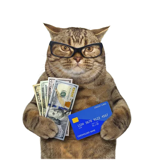 😽 Стикер «Sueta» для Telegram