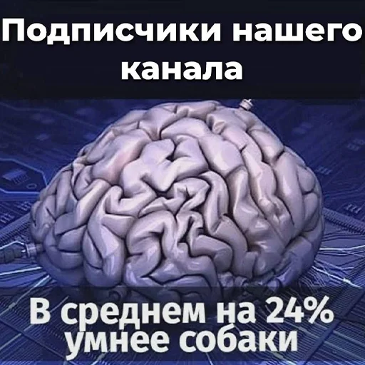 🧠 Стикер «Sueta» для Telegram