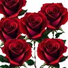 🌹 Эмодзи «Roses» для Telegram