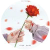 🌹 Эмодзи «Roses» для Telegram
