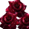 🌹 Эмодзи «Roses» для Telegram