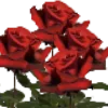 🌹 Эмодзи «Roses» для Telegram