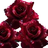 🌹 Эмодзи «Roses» для Telegram