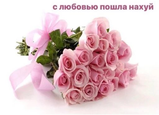 🩰 Стикер «suicidal kitty» для Telegram