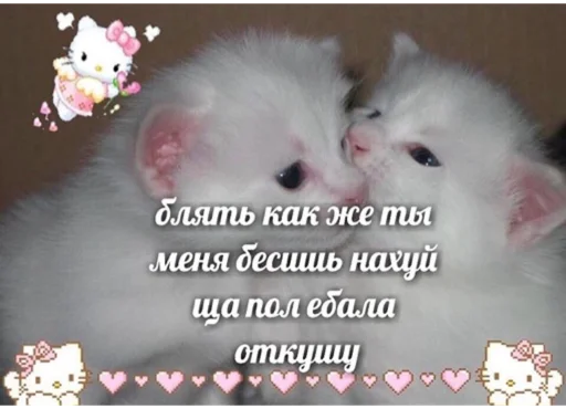 🩰 Стикер «suicidal kitty» для Telegram