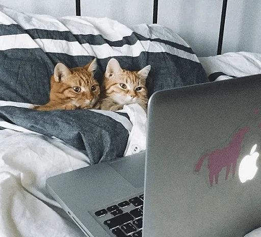 💻 Стикер «Sukruma» для Telegram