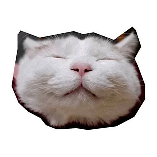 ☺️ Стикер «Sukruma» для Telegram