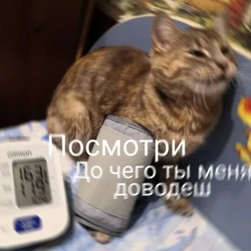 😩 Стикер «Sukruma» для Telegram