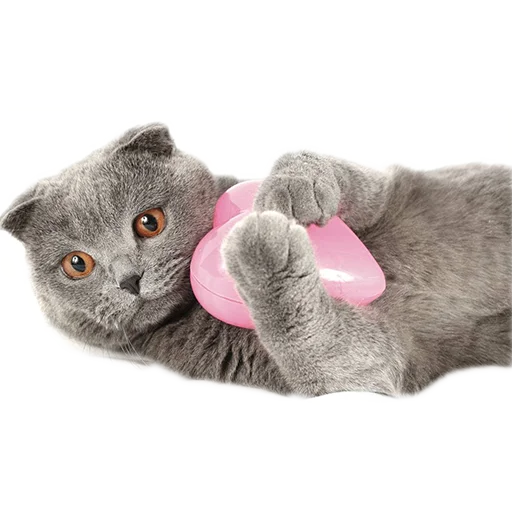 💖 Стикер «Sukruma» для Telegram