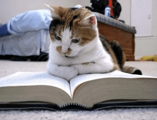 📖 Стикер «Sukruma» для Telegram