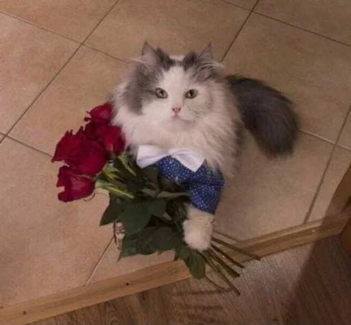 💐 Стикер «Sukruma» для Telegram