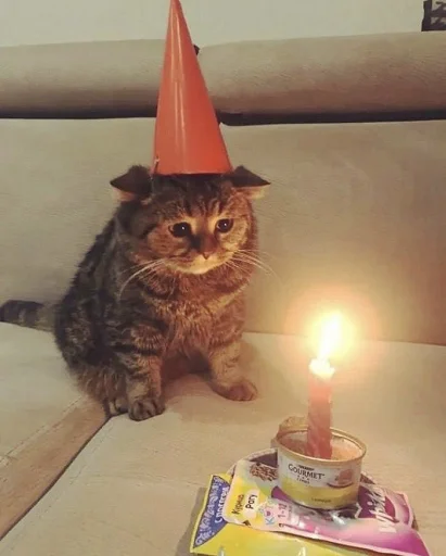 🍰 Стикер «Sukruma» для Telegram