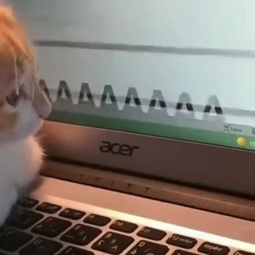 😱 Стикер «Sukrumotion» для Telegram