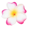 🌸 Эмодзи «summer aesthetica» для Telegram