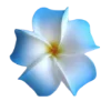 🌼 Эмодзи «summer aesthetica» для Telegram