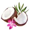 🥥 Эмодзи «summer aesthetica» для Telegram