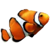🐠 Эмодзи «summer aesthetica» для Telegram